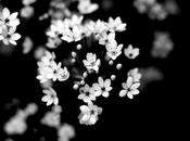 moi, pour toi, l'on gagne.