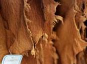 Zilli histoire peaux