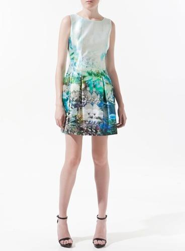 Robe imprimé végétal, Zara