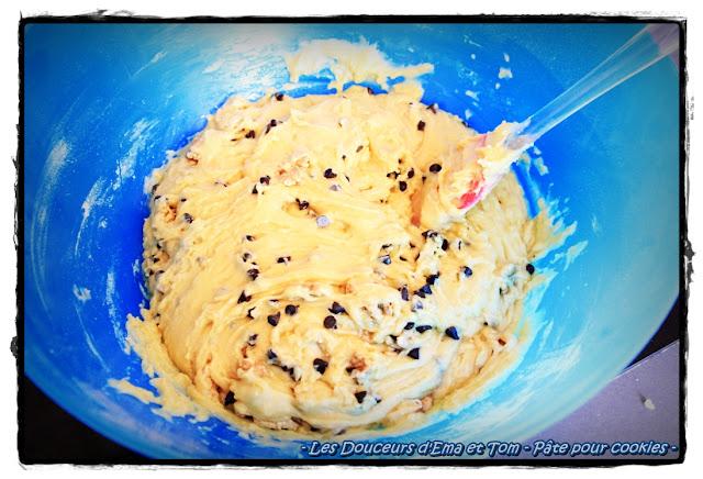Cookies aux pépites de chocolat et aux noix
