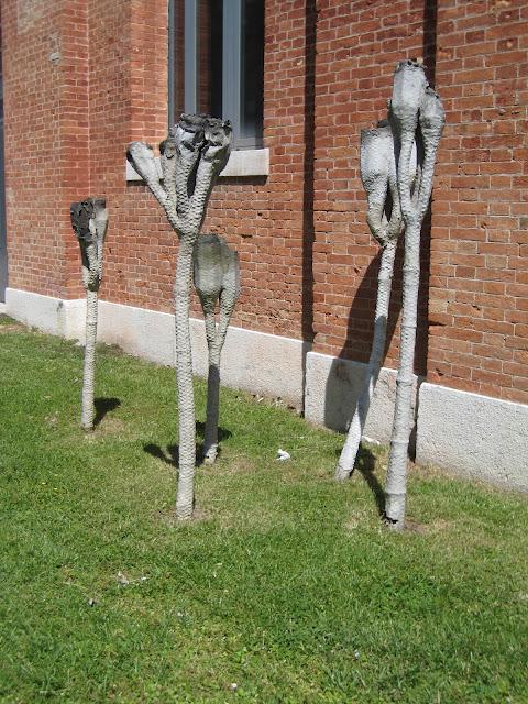 Ce que j'ai aperçu de l'America's cup, loin de la foule qui était, paraît-il, considérable...