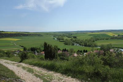 Ailly-sur-Meuse : flore et faune