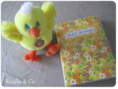 Rosalie-and-co_carnet-photo