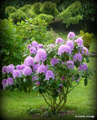 Le jardin  s'est réveillé sous un soleil resplendiss...