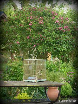 Le jardin  s'est réveillé sous un soleil resplendiss...
