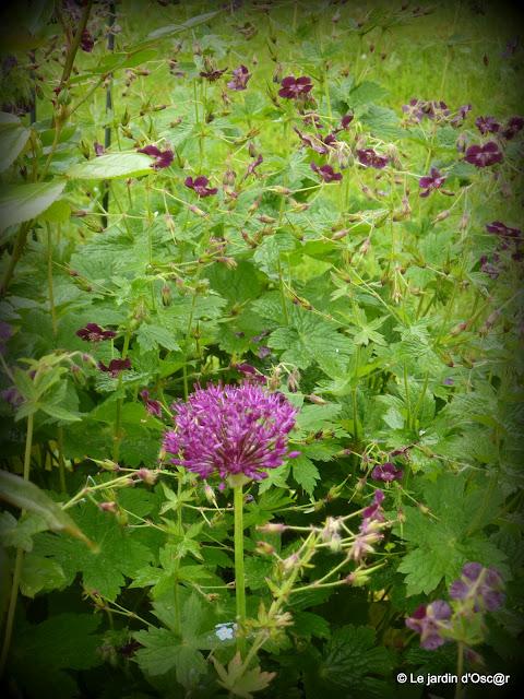 Le jardin  s'est réveillé sous un soleil resplendiss...