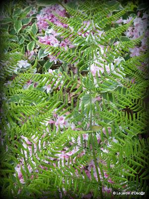 Le jardin  s'est réveillé sous un soleil resplendiss...