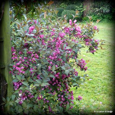 Le jardin  s'est réveillé sous un soleil resplendiss...