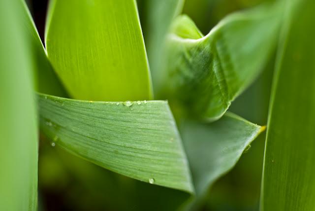 Courbes et contre-courbes