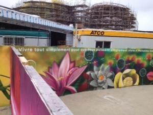 murale stade olympique planetarium biodome jardin botanique