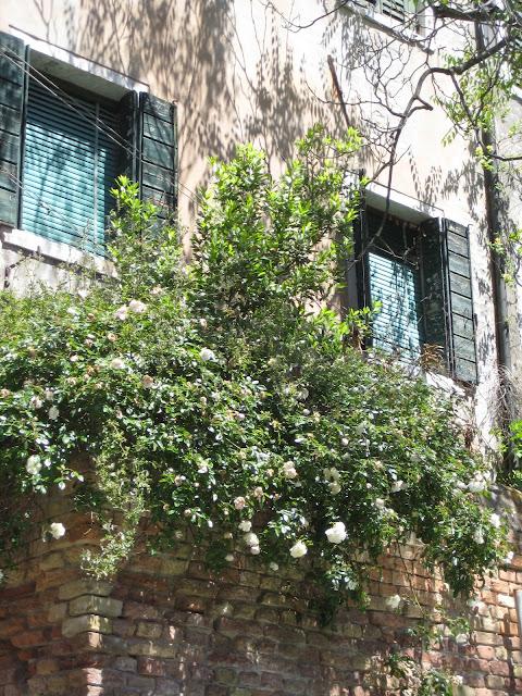 On continue la balade en barque