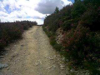 Terdav Trail World Tour, Saint Jacques en images: de León à O Cebreiro