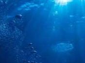 Hausse océans consommation d’eau humaine aussi responsable