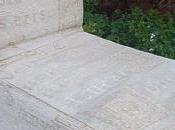 Fourrure bleue tropique