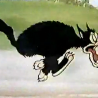 C’est pas nous, c’est pas nous !