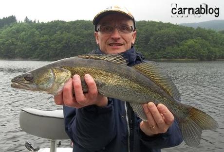 Il s'est fait des sandres ! 28-05-2012-6-.JPG