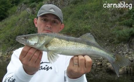 Il s'est fait des sandres ! 28-05-2012-1-.JPG