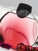 Ils nous entourent et nous sommes tous à leur merci....