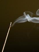 Ils nous entourent et nous sommes tous à leur merci....