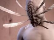 showreel 2012 d’Onesize