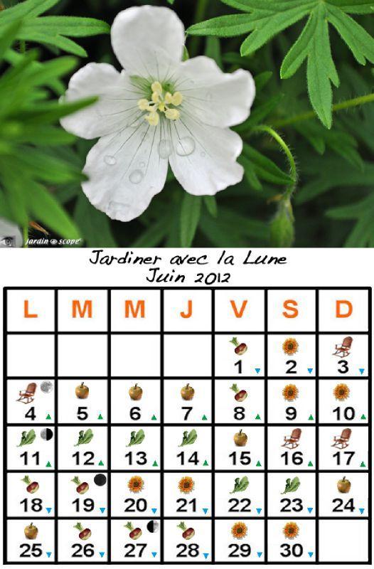 Jardiner-avec-la-Lune-juin-2012