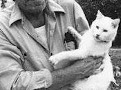 quand pense qu'après mort," Charles Bukowski, chat, femme.