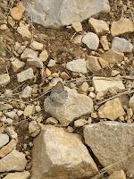 5 bonnes raisons d'aller dans les Baronnies