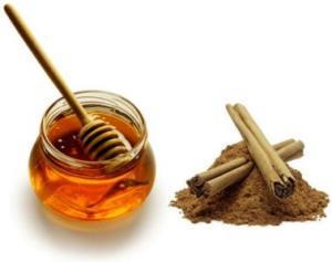 Le miel, un aliment aux multiples potentiels