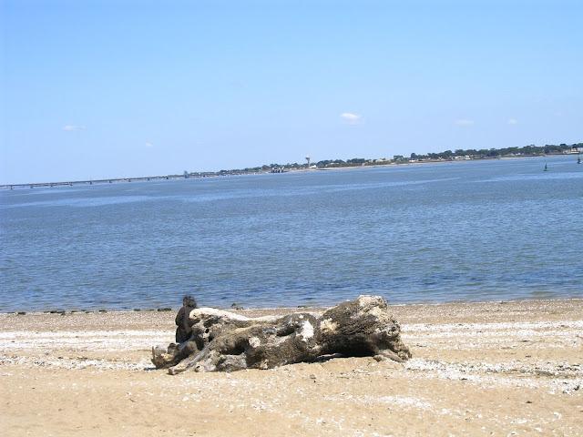 mardi, on rase gratis