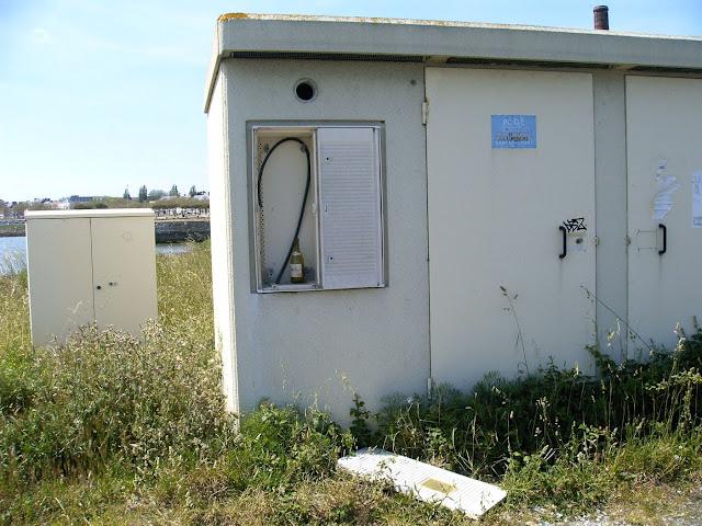 mardi, on rase gratis