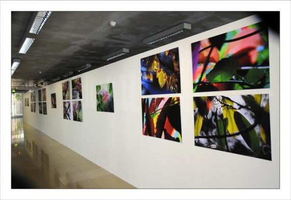 Carré d'Art, La Partie pour le Tout, Mur Foster, Nîmes, Rendez-vous aux Jardins, Exposition,