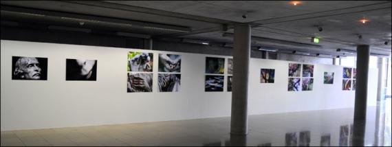 Carré d'Art, La Partie pour le Tout, Mur Foster, Nîmes, Rendez-vous aux Jardins, Exposition,