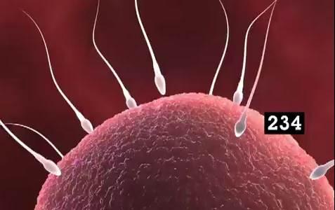 getty Getty Images fait sa pub avec 873 photos