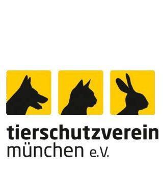 Adopter un animal à Munich. Tierschützverein München (SPA munichoise)