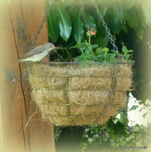 Depuis le temps, vous l'aurez compris, je partage me...