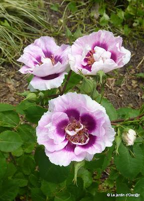 Depuis le temps, vous l'aurez compris, je partage me...