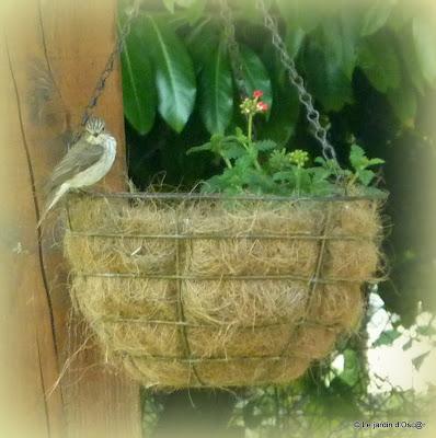 Depuis le temps, vous l'aurez compris, je partage me...