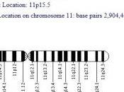 IMAGe SBW: Croissance retardée excessive l’enfant, même gène Nature Genetics