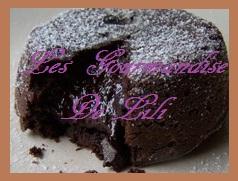 t-g_teau_chocolat_fondant_3eme_essai__1_1.JPG