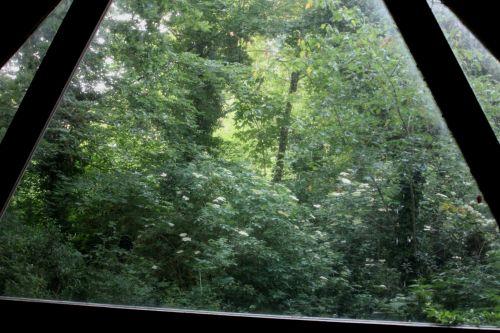 nigra 29 mai 2012 021.jpg