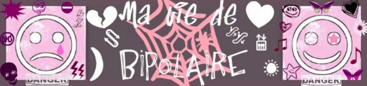 ma-vie-de-bi-polaire.1299897441.jpg