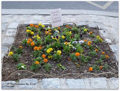 Dites-le avec des fleurs...