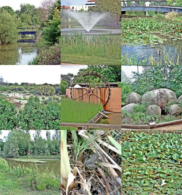 QUELQUES PHOTOS DU WEEK-END