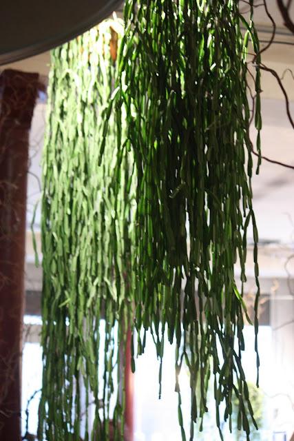 La galerie végétale à Paris