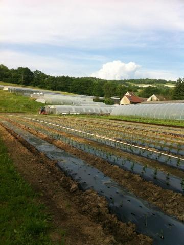 ferme de chosal,Copponex,esat,SMS,Syndicat Mixte du Salève,PLAD