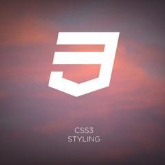 css3