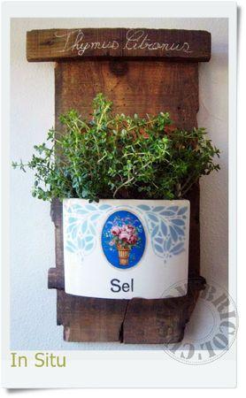 DIY SEL DE THYM-In situ