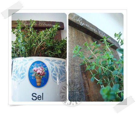 DIY SEL DE THYM-détails