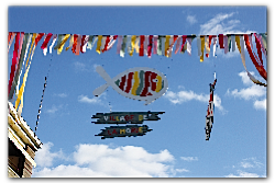À Bègles, la morue a une sacrée patate !