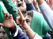 Dour Festival,Line-Up Juillet 2012